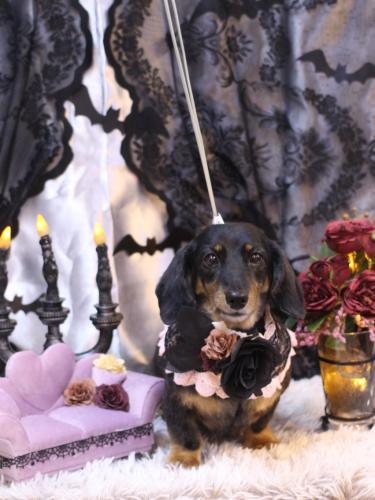 20231008モカちゃん